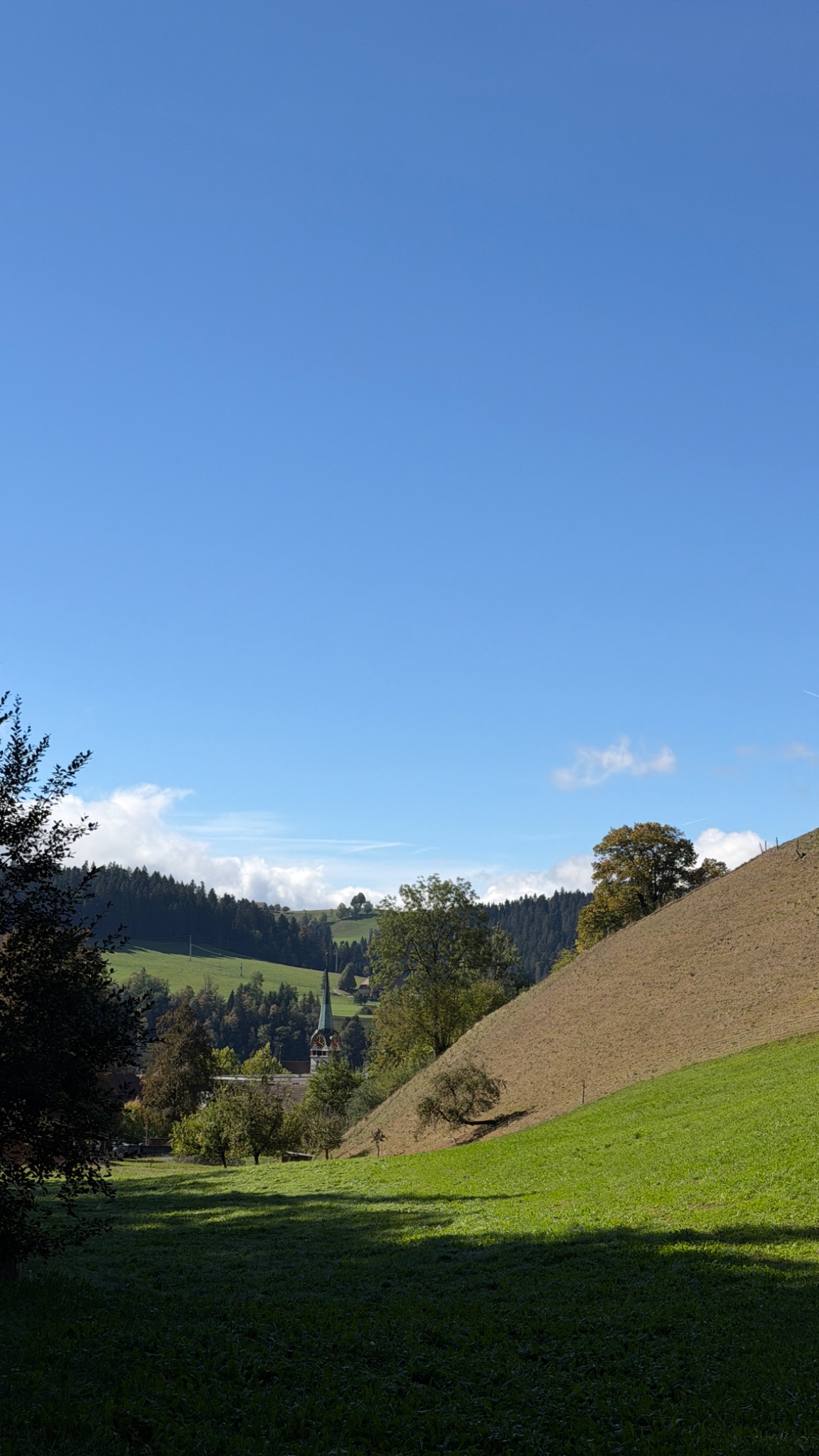 Blick auf die Kirche von Langnau zwischen grünen Wiesen und bewaldeten Emmentaler Hügeln